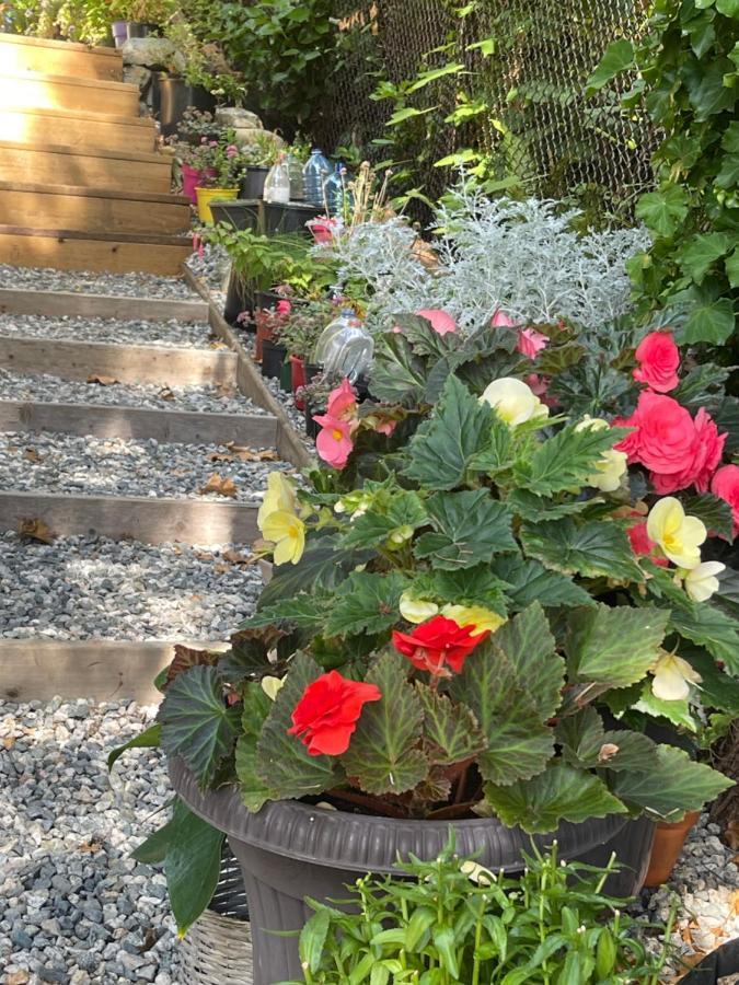 Garden Bridge House Villa Sechelt Buitenkant foto