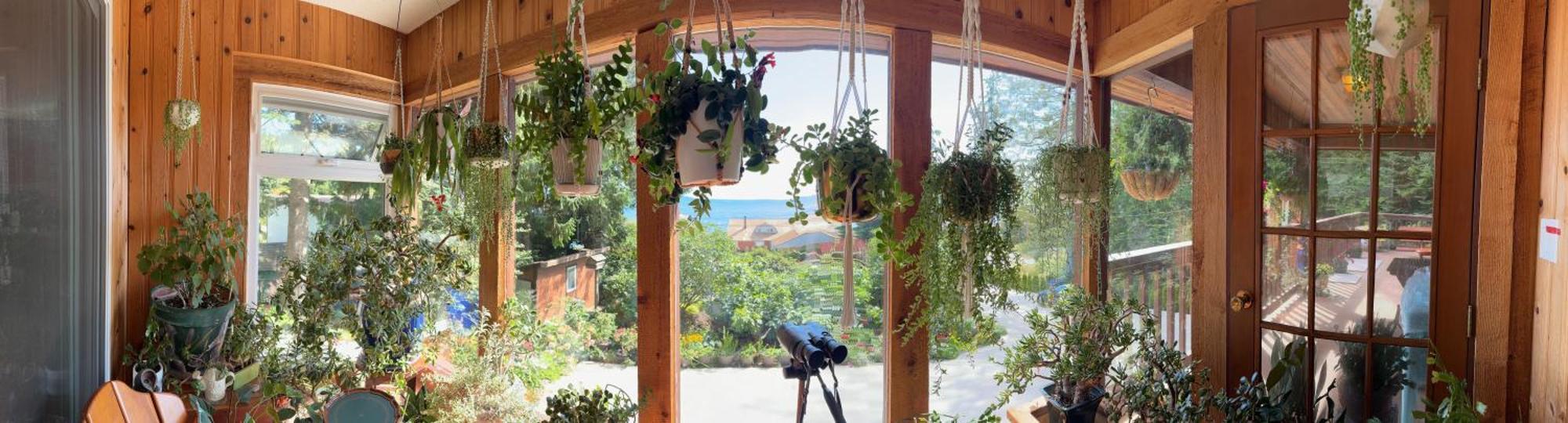 Garden Bridge House Villa Sechelt Buitenkant foto